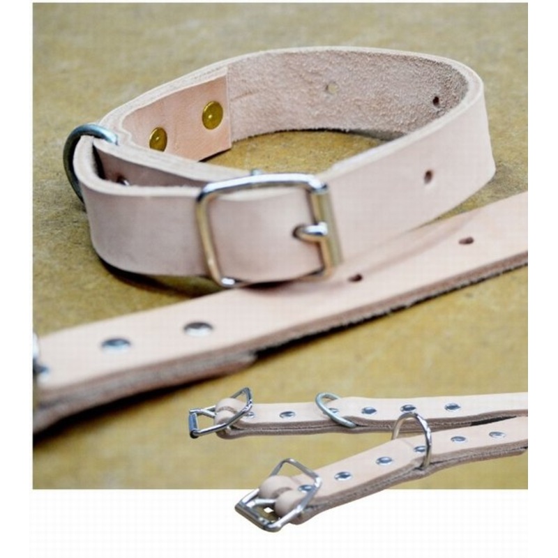 Dog collar 25mm home brand