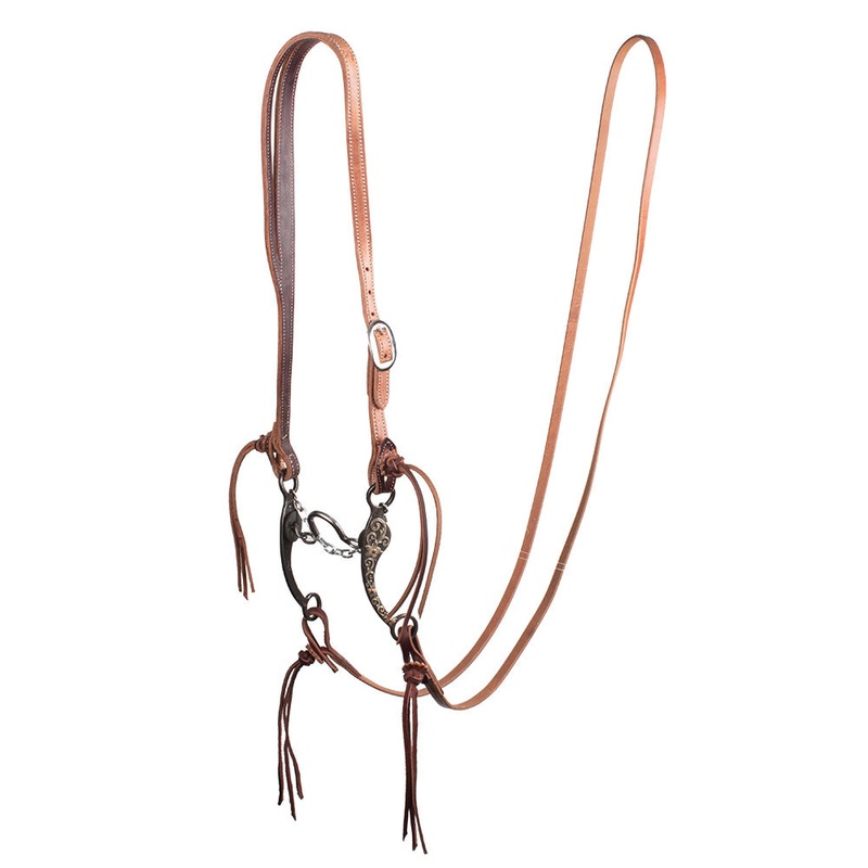 Patrick Smith Slit Ear Ported Chain Bridle Rig