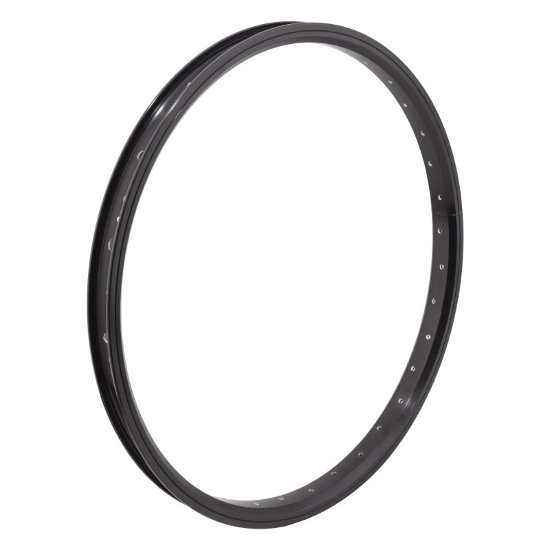 Se bikes J24SG 20in 36H Rim
