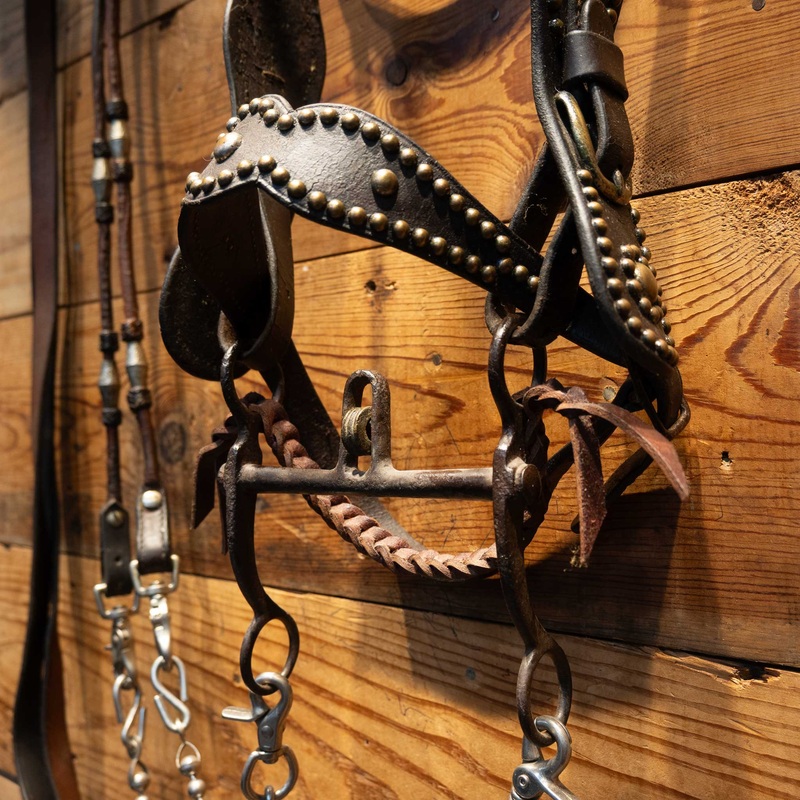 Stunning Vintage Dotted Bridle Rig w/Cavesson & Romel Reins