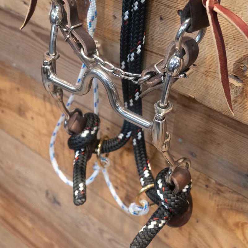 CHS Solid Port Gag Rig w/Martingale