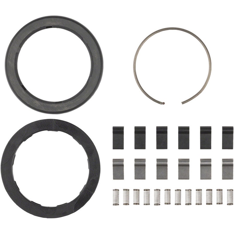 Zipp Spring and Pawl Set – ZM2