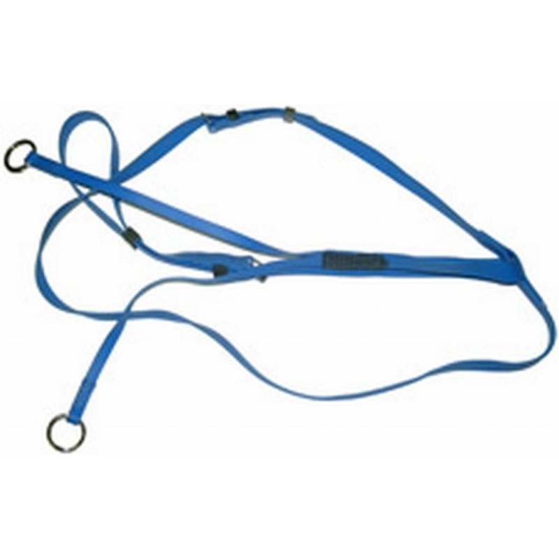 Wintec running martingale