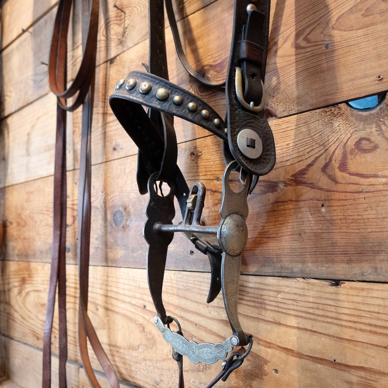 Vintage Dotted Bridle w/Cavesson & Port Bit