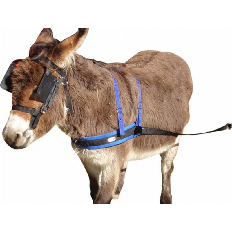 Donkey bridle + bit nylon