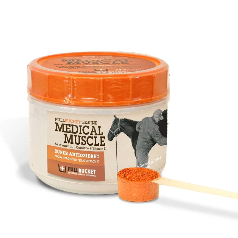 Full Bucket Equine Medical Muscle Recovery