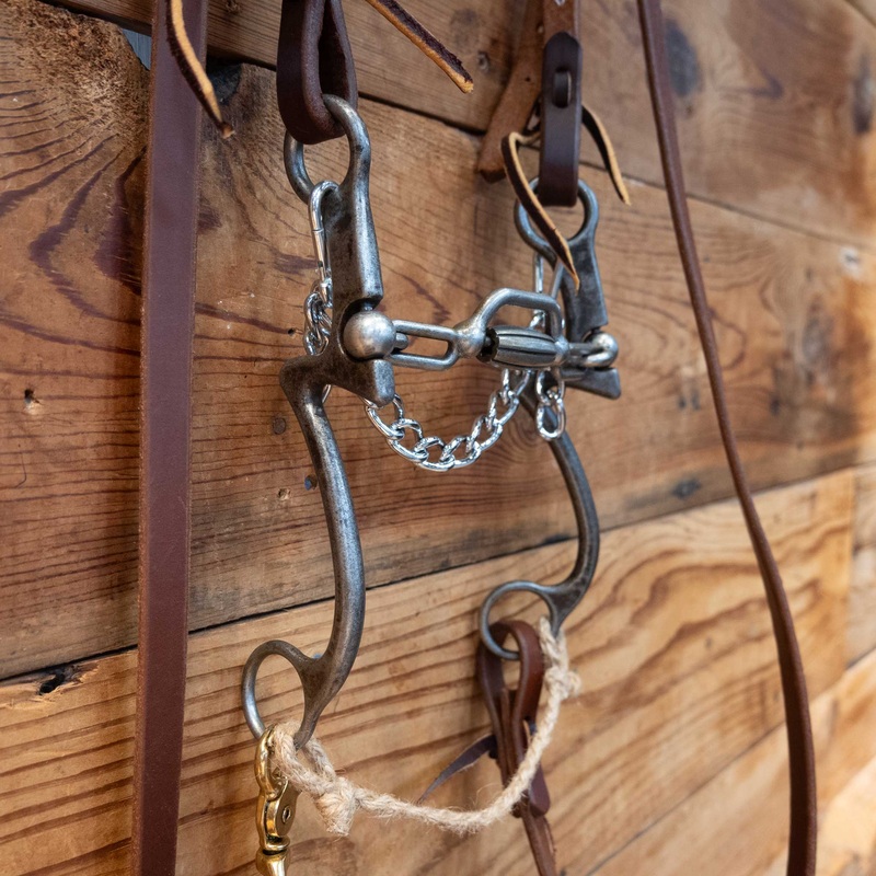 Kerry Kelley Santo Bridle Rig