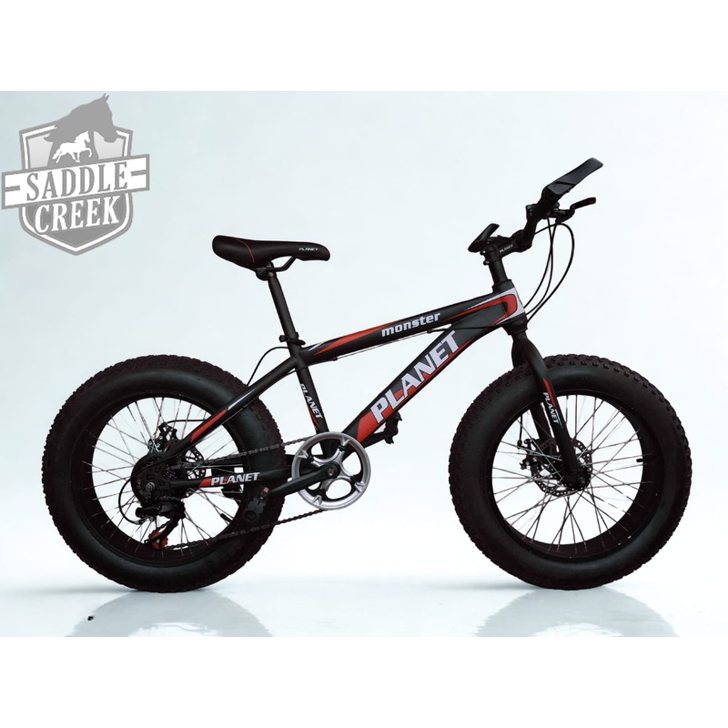Bicycle Fat Bike 20 inch  Planet