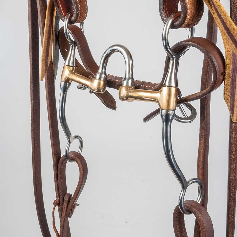 Teskey’s Correction Bit Bridle Rig