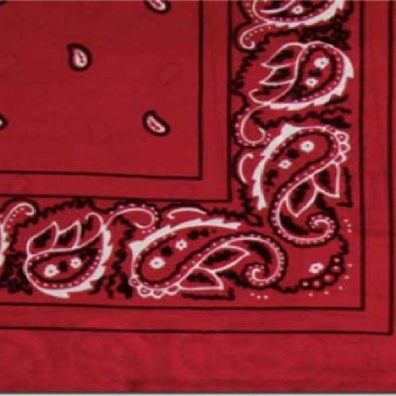 20″ Bandana Silk Wild Rag – Red
