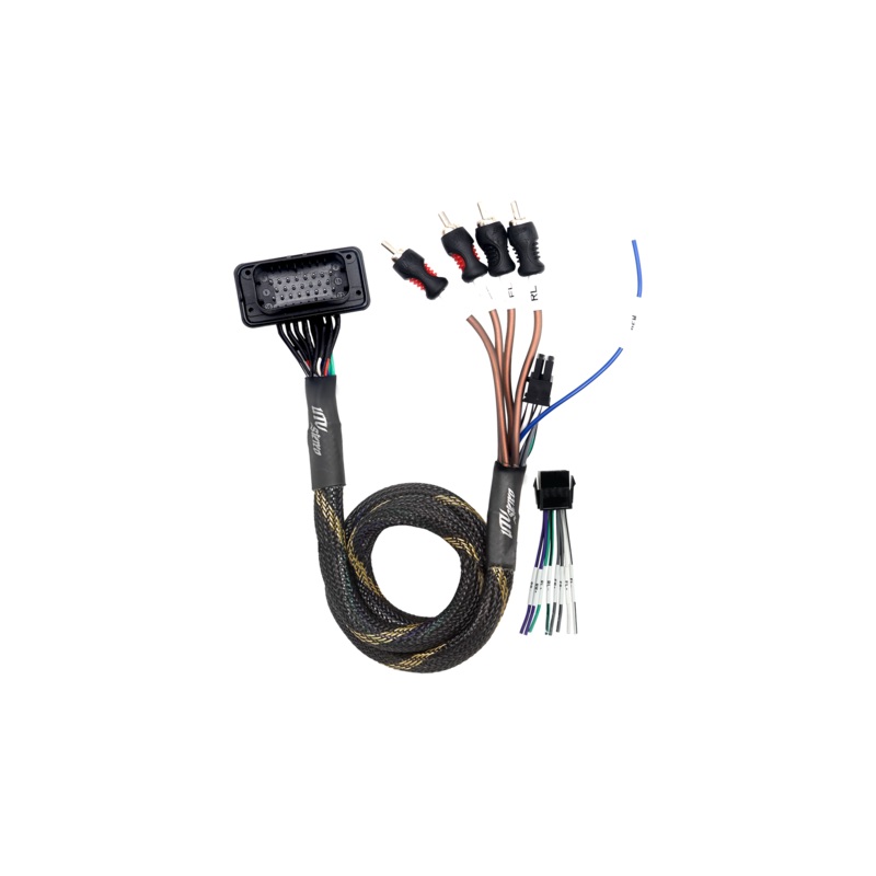 RZR Pro Series Ride Command Front & Rear RCA Output + Speaker Wire & Remote | UTVS-PRO-RC-RCA-OUT