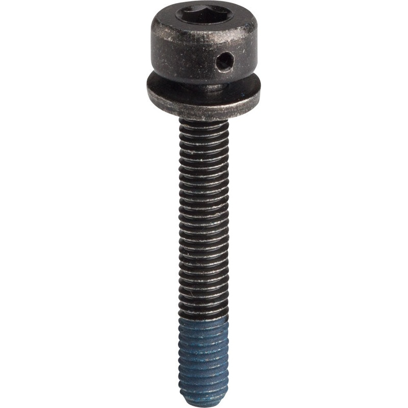 Shimano 31.8mm Disc Brake Caliper Fixing Bolt, for 74mm Caliper on Flat-Mount Frame Adaptor