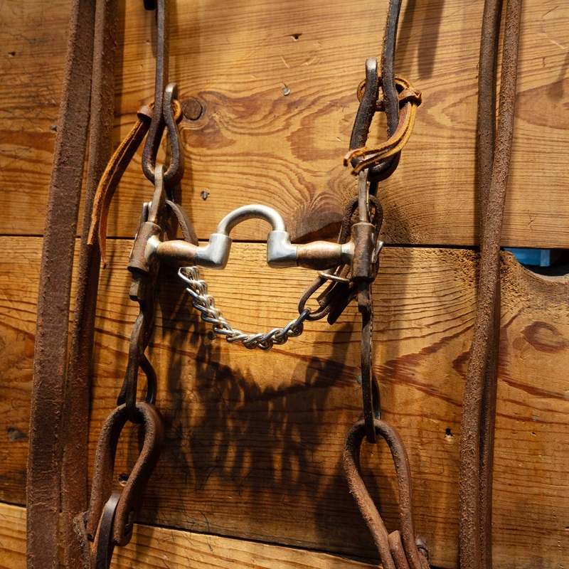 Correction Bridle Rig