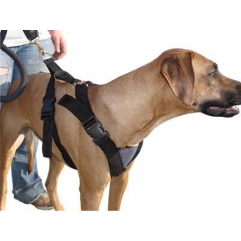 Dog harness nylon
