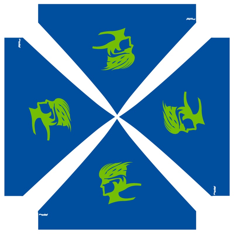 Phase Cycling 2025 CANOPY