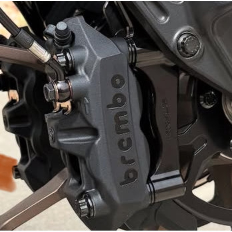 Radial Caliper Bolts – Dual Show polish