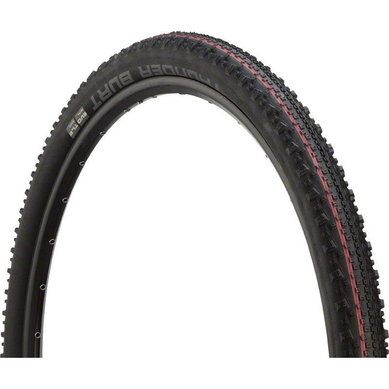 Schwalbe Thunder Burt Tire – 29 x 2.1, Tubeless, Folding, Black, Evolution, Super Ground, Addix Speed