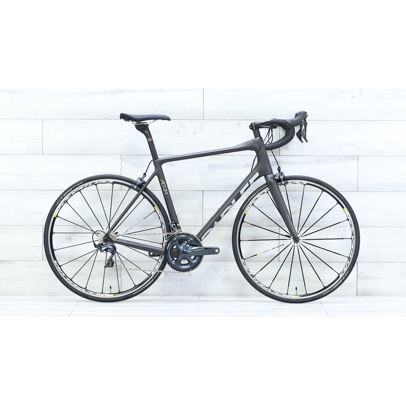 Parlee Altum Road Bike – 2017, Large