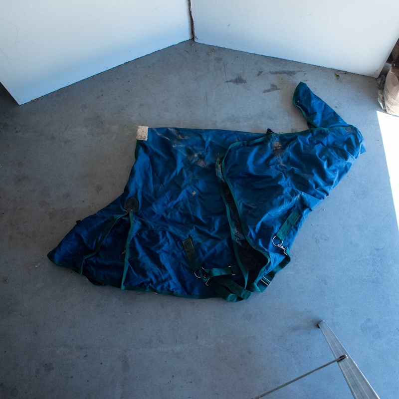 Used 62″ Winter Blanket