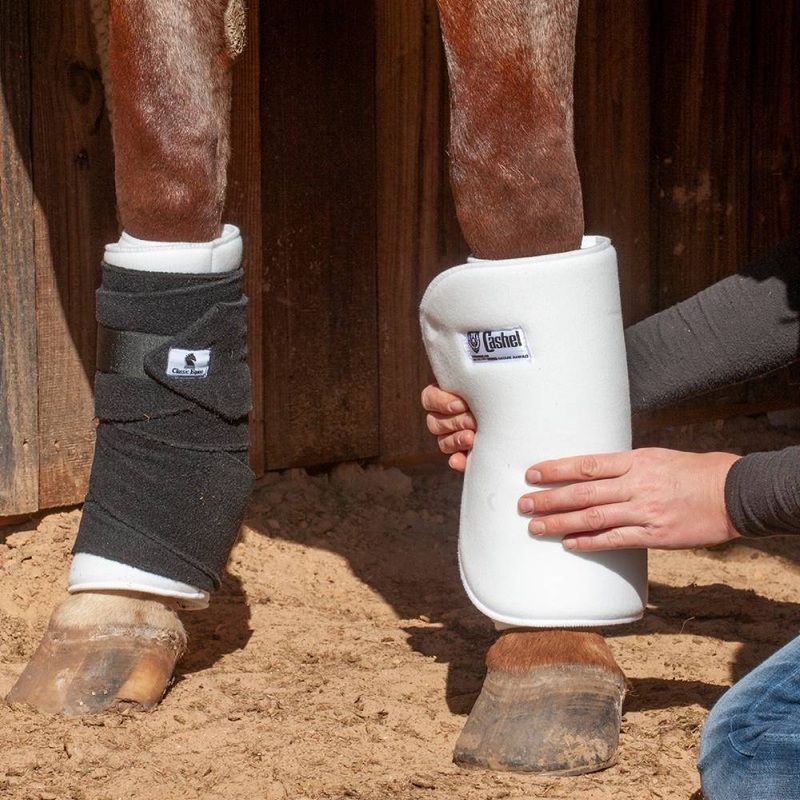 Cashel No Bow Bandages