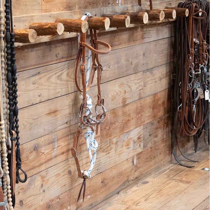 CHS Mitch D-Ring Twisted Snaffle Martingale Rig