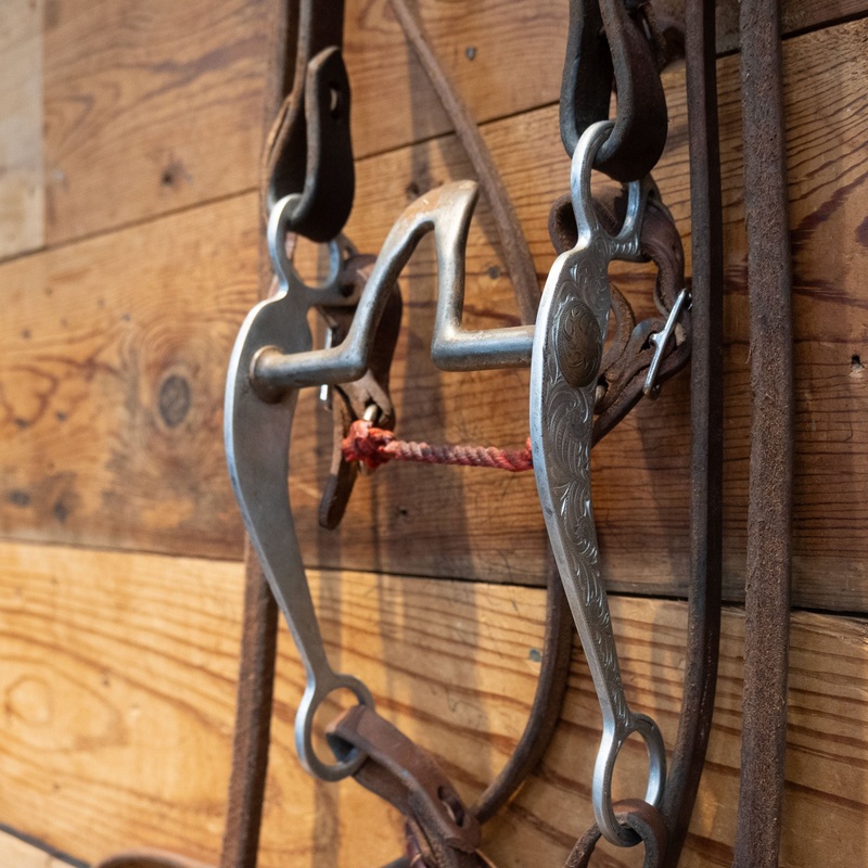 Reinsman Cathedral Bridle Rig