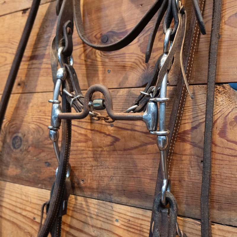 CHS Solid Port Gag Bridle Rig
