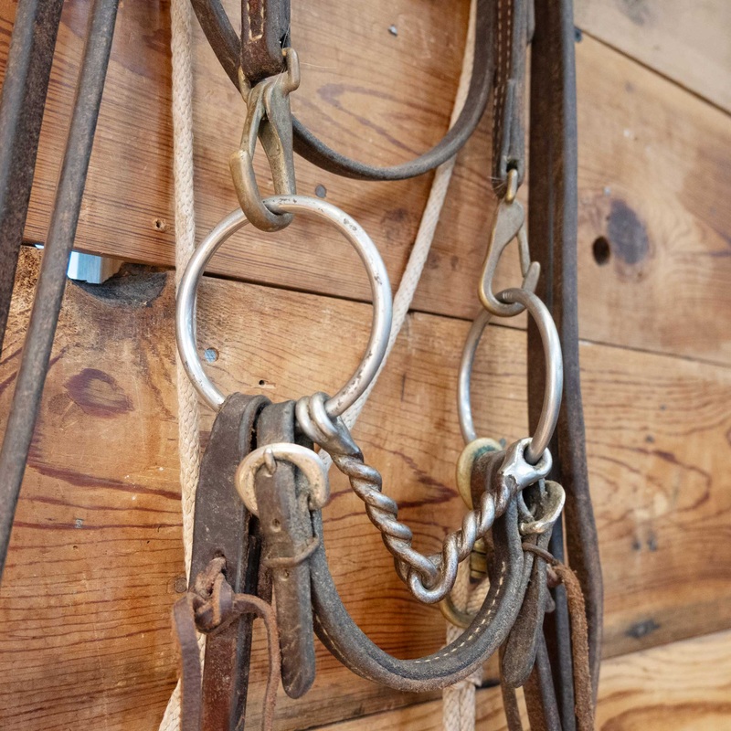 Reinsman O-Ring Twisted Snaffle Bridle Rig
