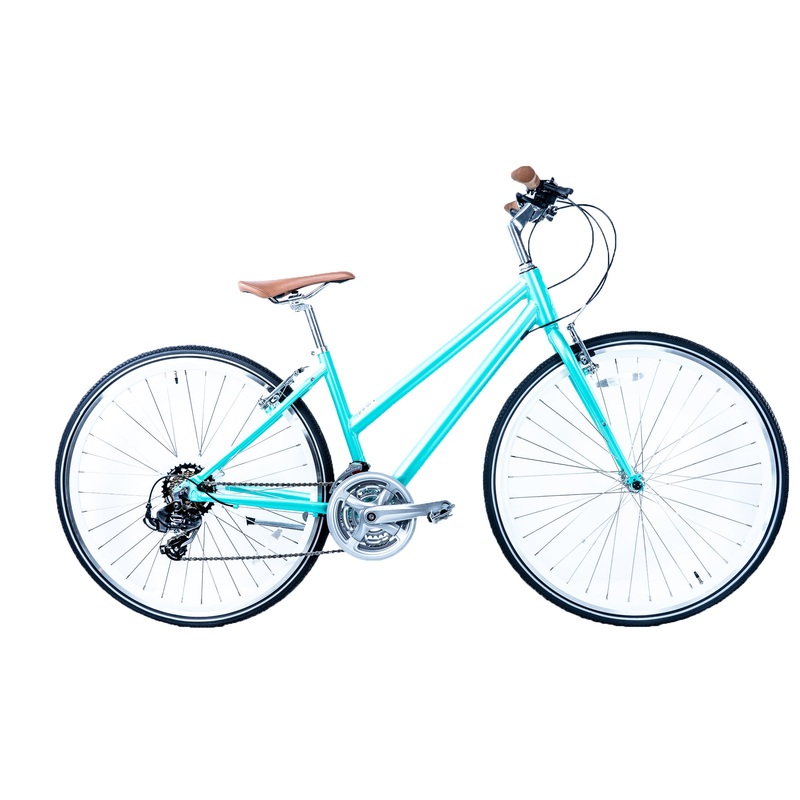 City-X Hybrid Step-Thru – The Aqua-Mania