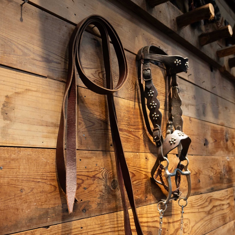 Vintage Nickel Dotted Cavesson & Horse Bridle Rig
