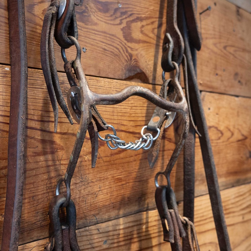 Kurtis Rudelbach Port Bridle Rig
