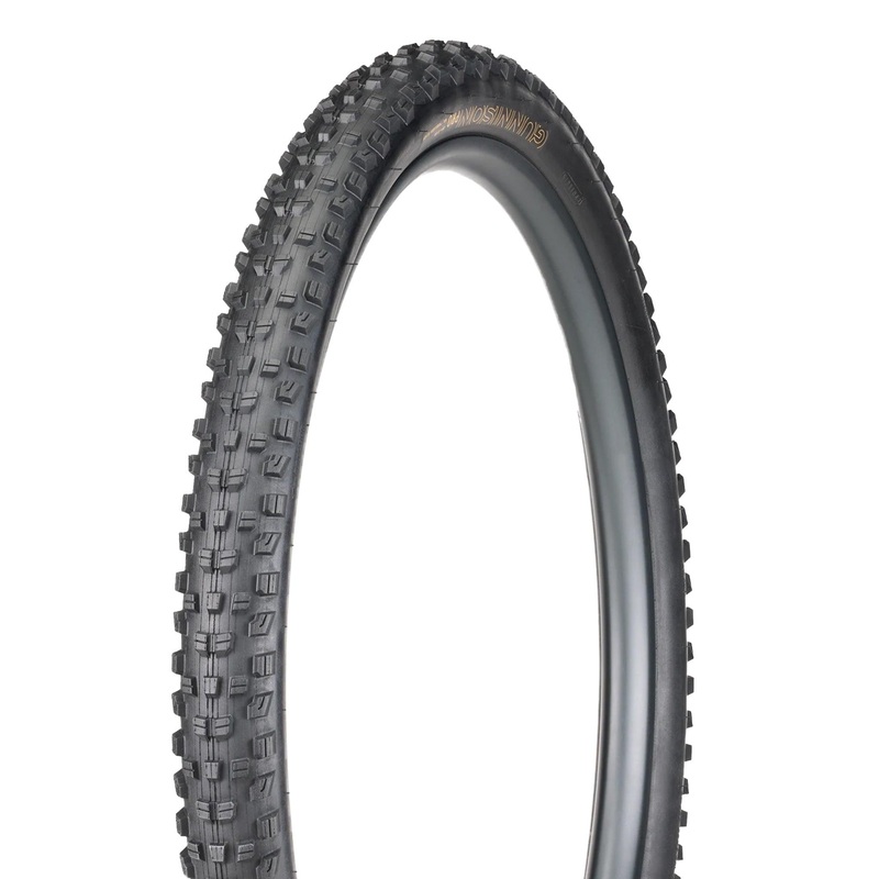 Gunnison Pro XR TLR MTB Tire Black
