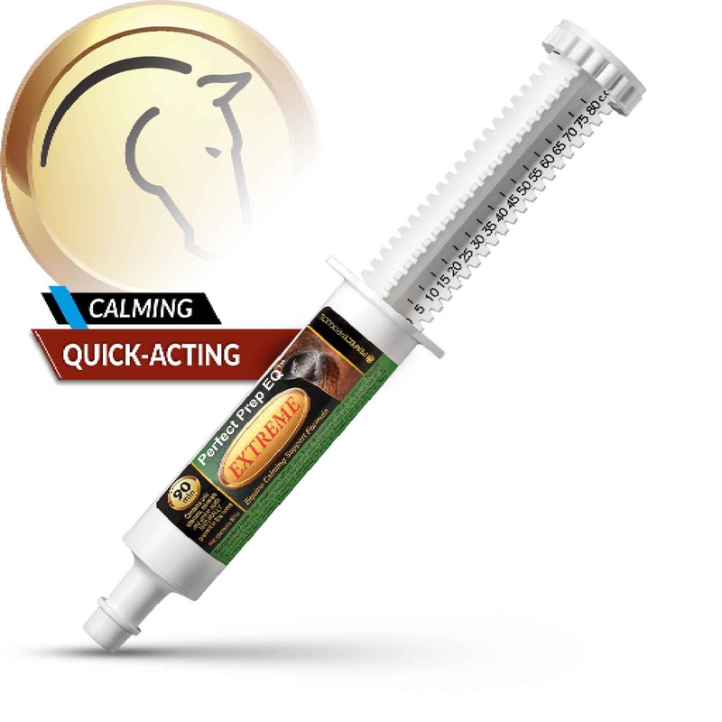 Perfect Prep EQ Extreme