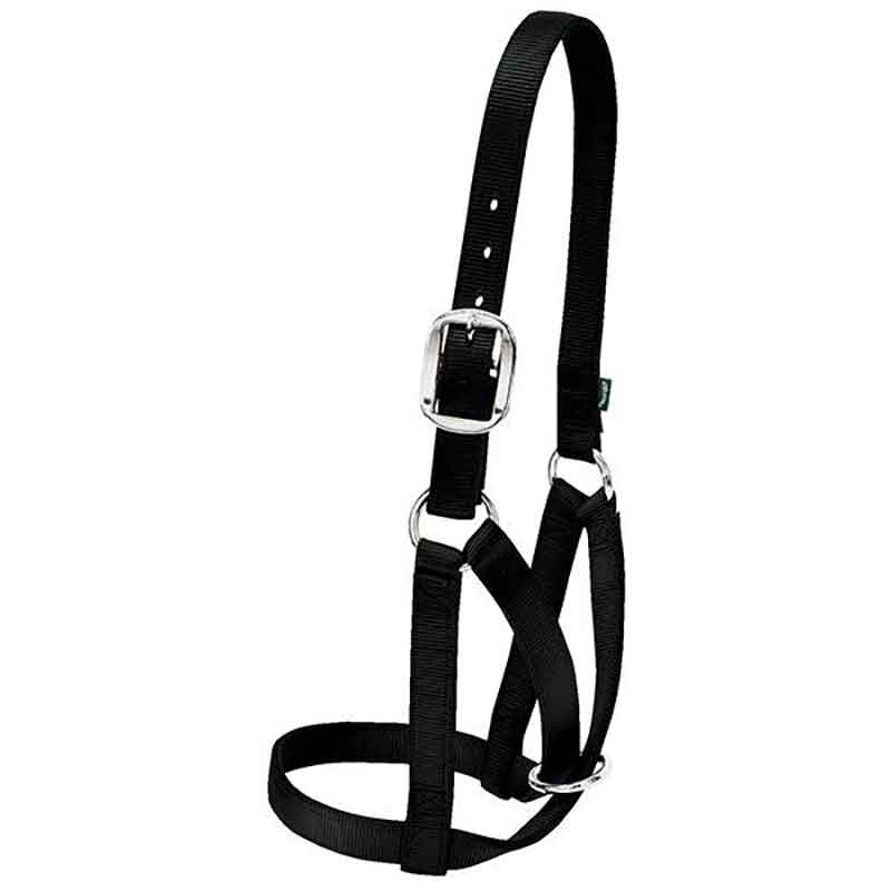 Weaver Barn Small Cow Halter
