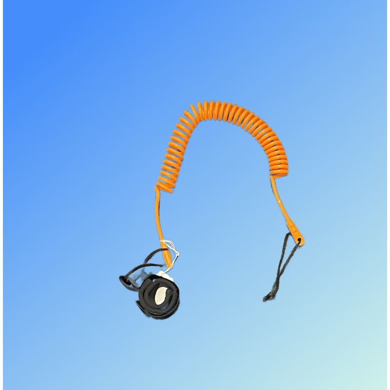 Coiled SUP 10′ Leash