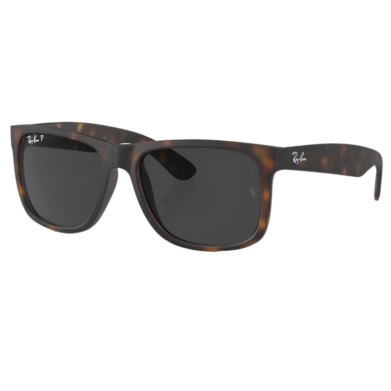 Ray-Ban Justin Sunglasses