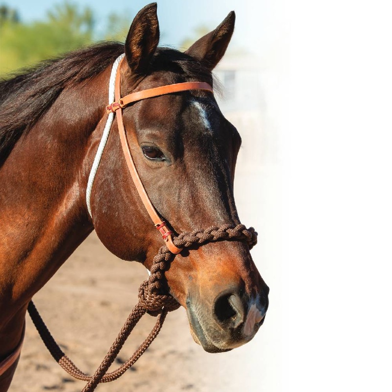Professional’s Choice Loping Hackamore