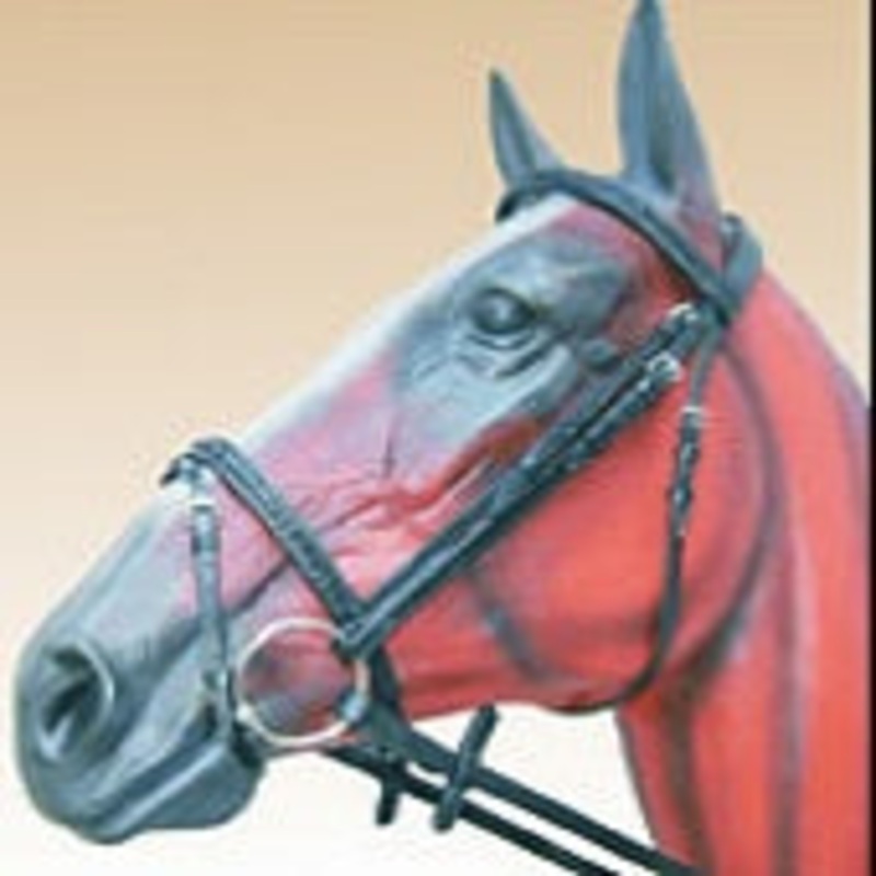 Bridle braided snaffle