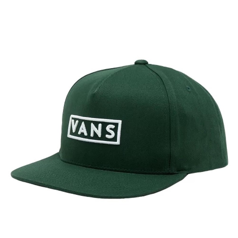 Vans Easy Box Snapback – Mountain View
