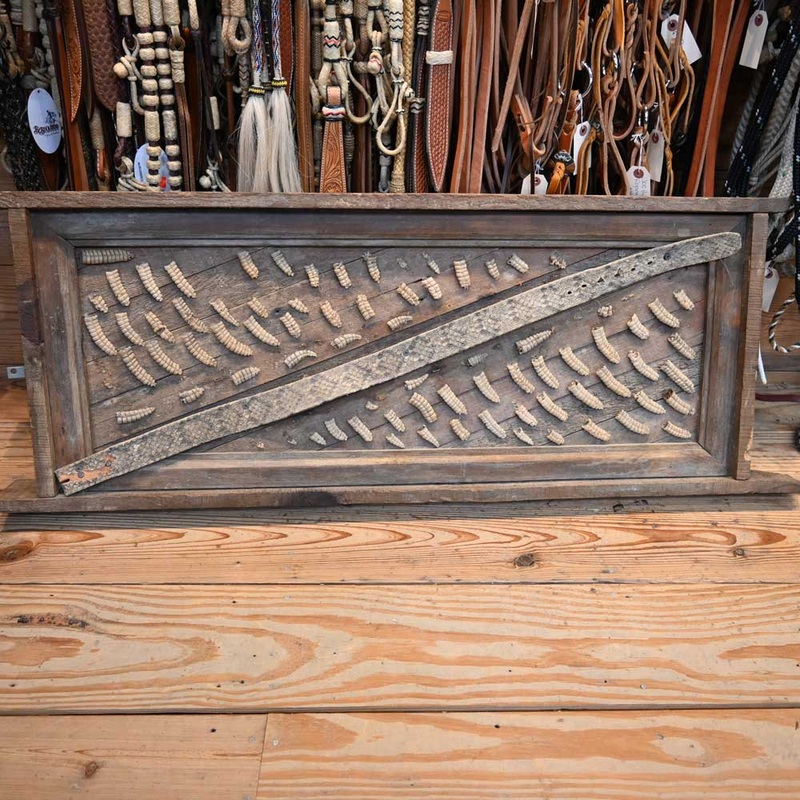 Vintage Rattle Snake Button Collections and Rattle Snake Belt