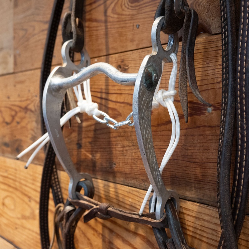 Barry Guillory Grazing Bit Bridle Rig
