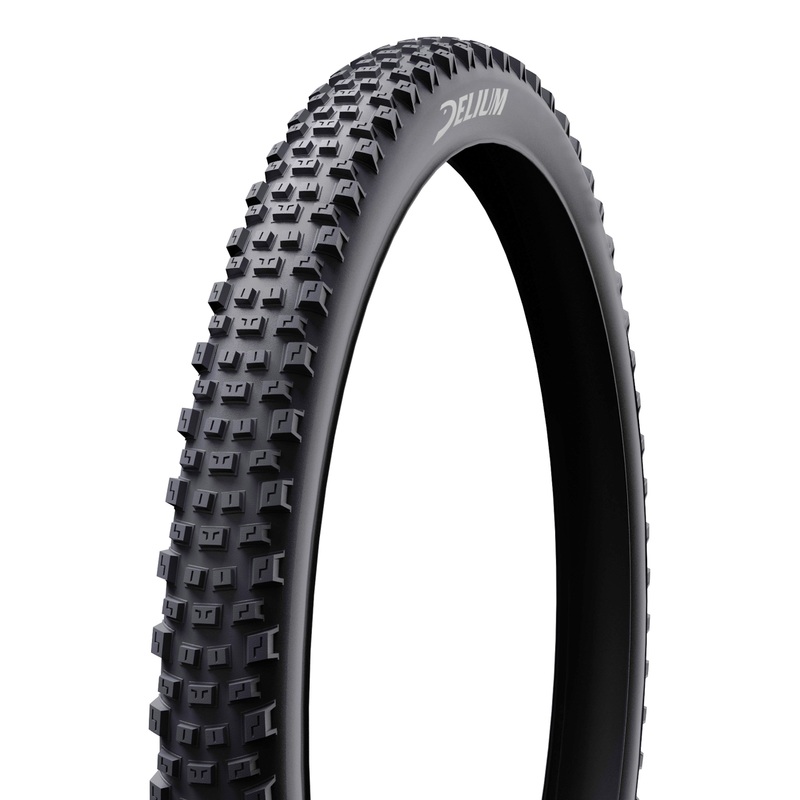 Steady MTB Tire
