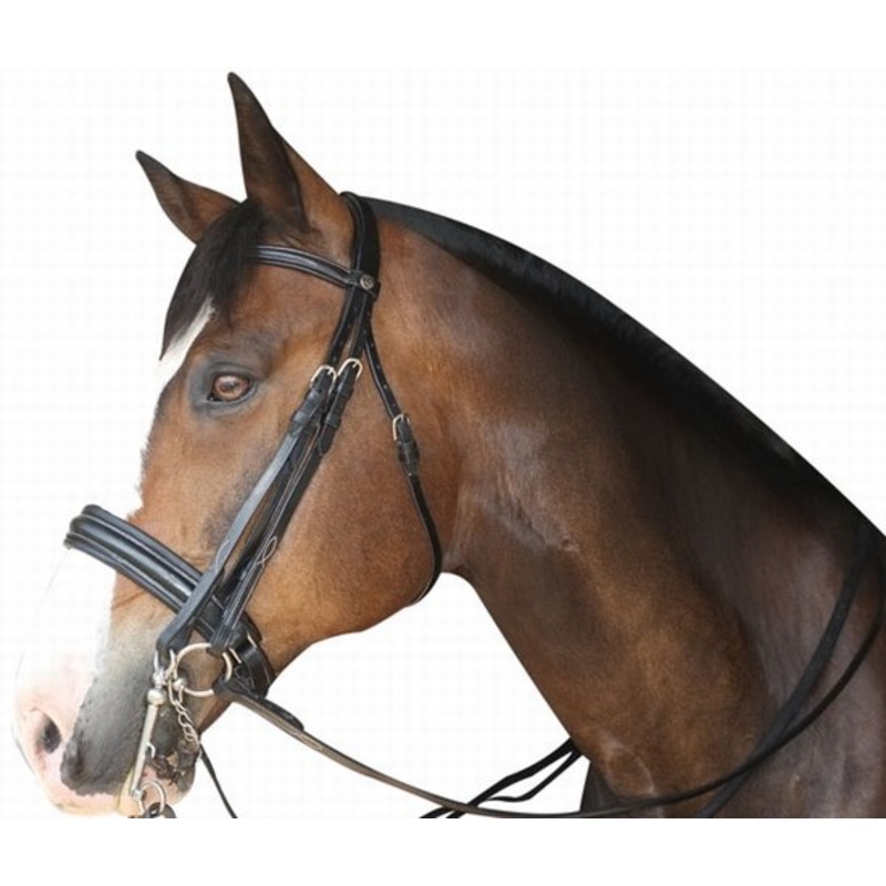Double bridle gold medal black full size