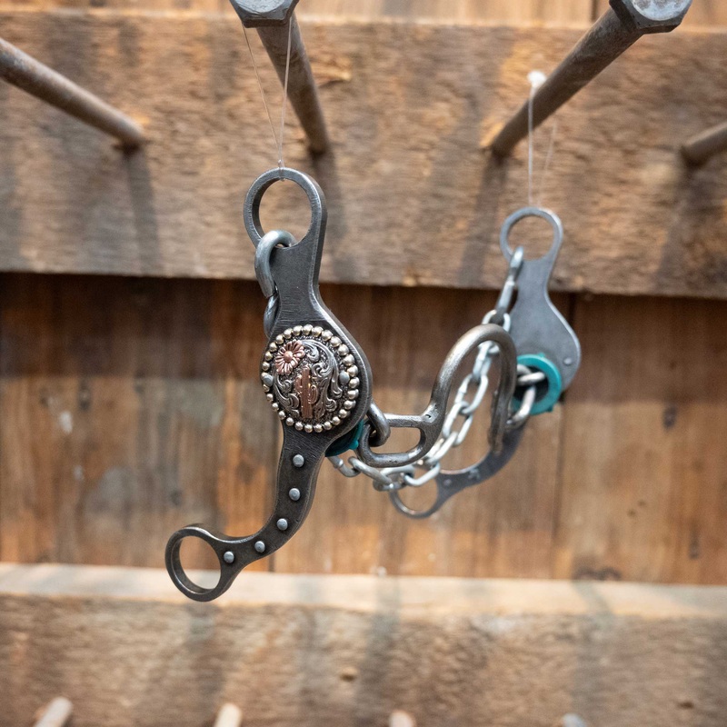 Paul Petska Ported Chain Bit w/Cactus Concho