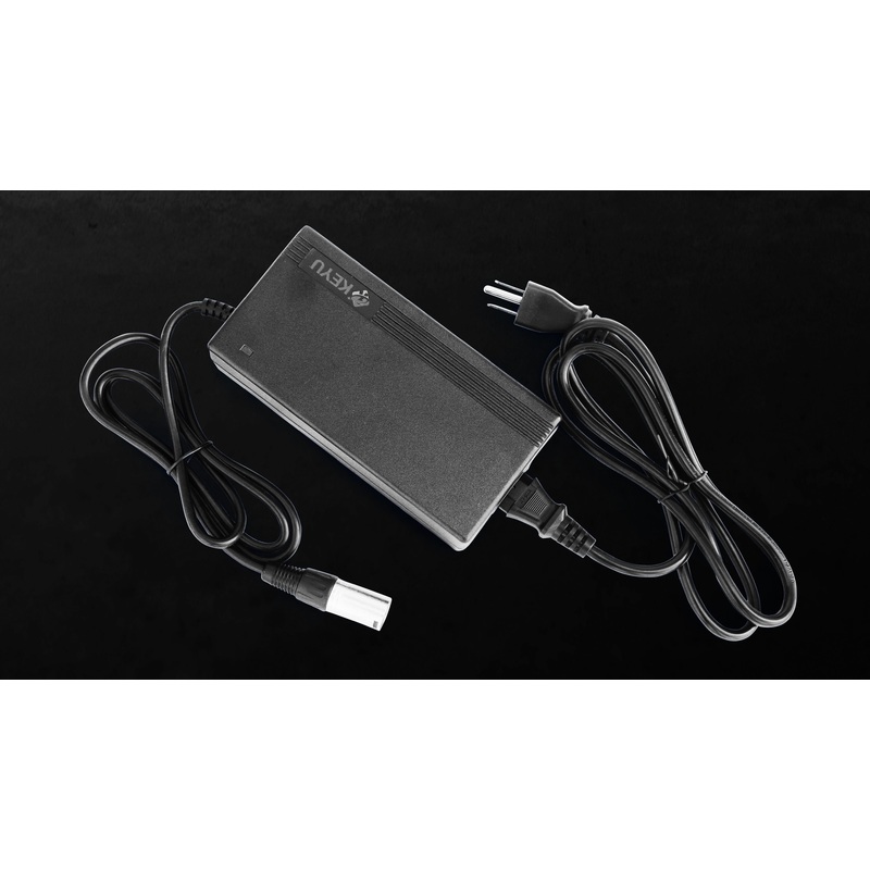 Three Prong Electric Bike Lithium Battery Charger for 48V