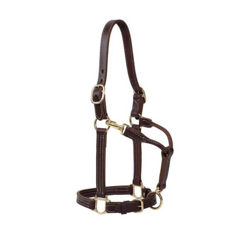 Weaver 1″ Track Halter Canyon Rose