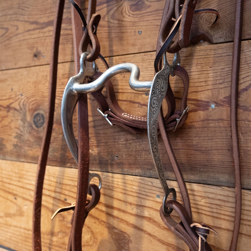 Grazing Bit Bridle Rig