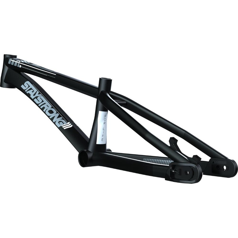 Stay Strong For Life V4 Expert Race Frame Black