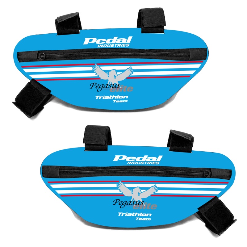 Pegasus Elite 2023 Day Ripper Frame Bag