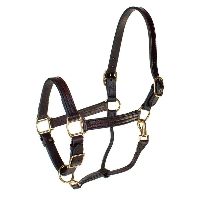 Teskey’s 1″ Triple Stitched Yearling Track Halter